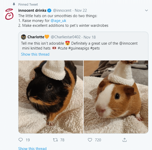 guinea pigs