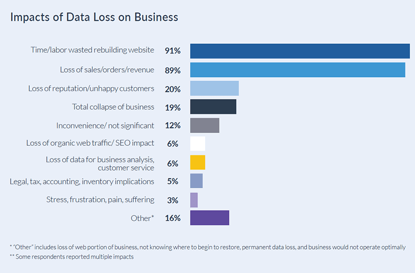 Rewind 2020 Data Protection Survey