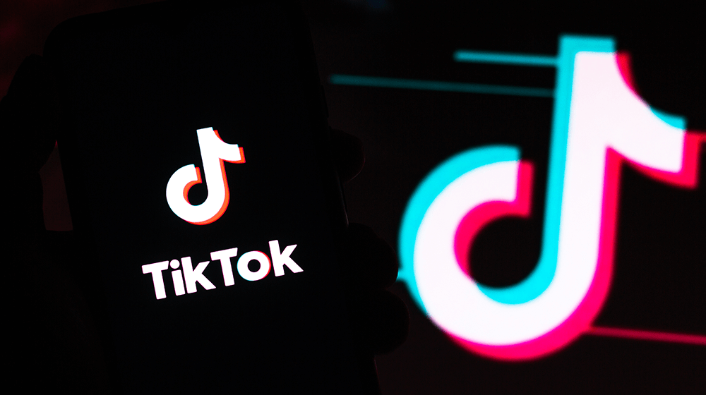 tiktok introduces beta to us creators