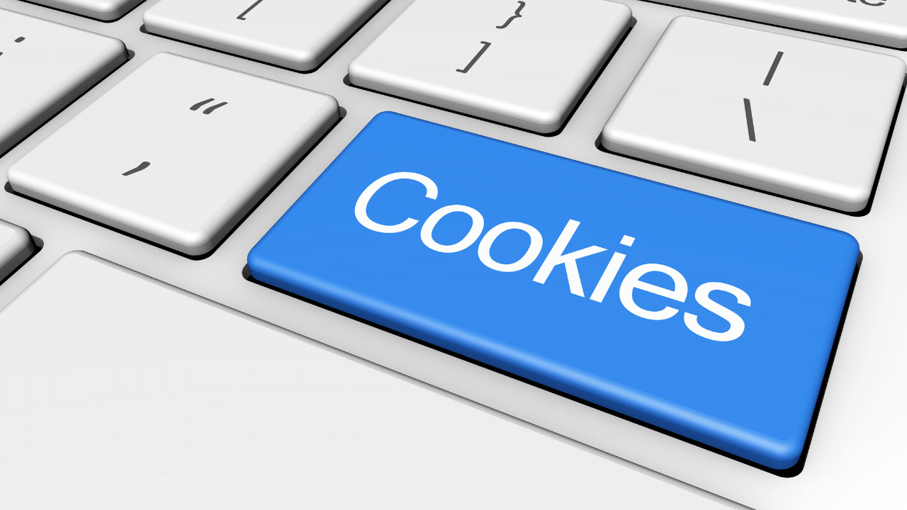 Website Privacy Policy Cookies 
