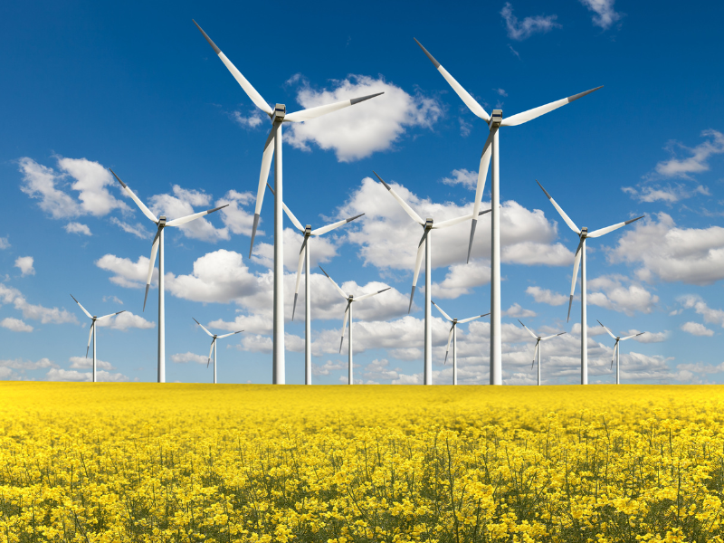 vacant land business ideas wind farm