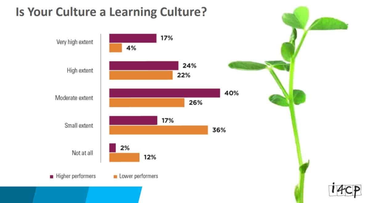 Learning Culture